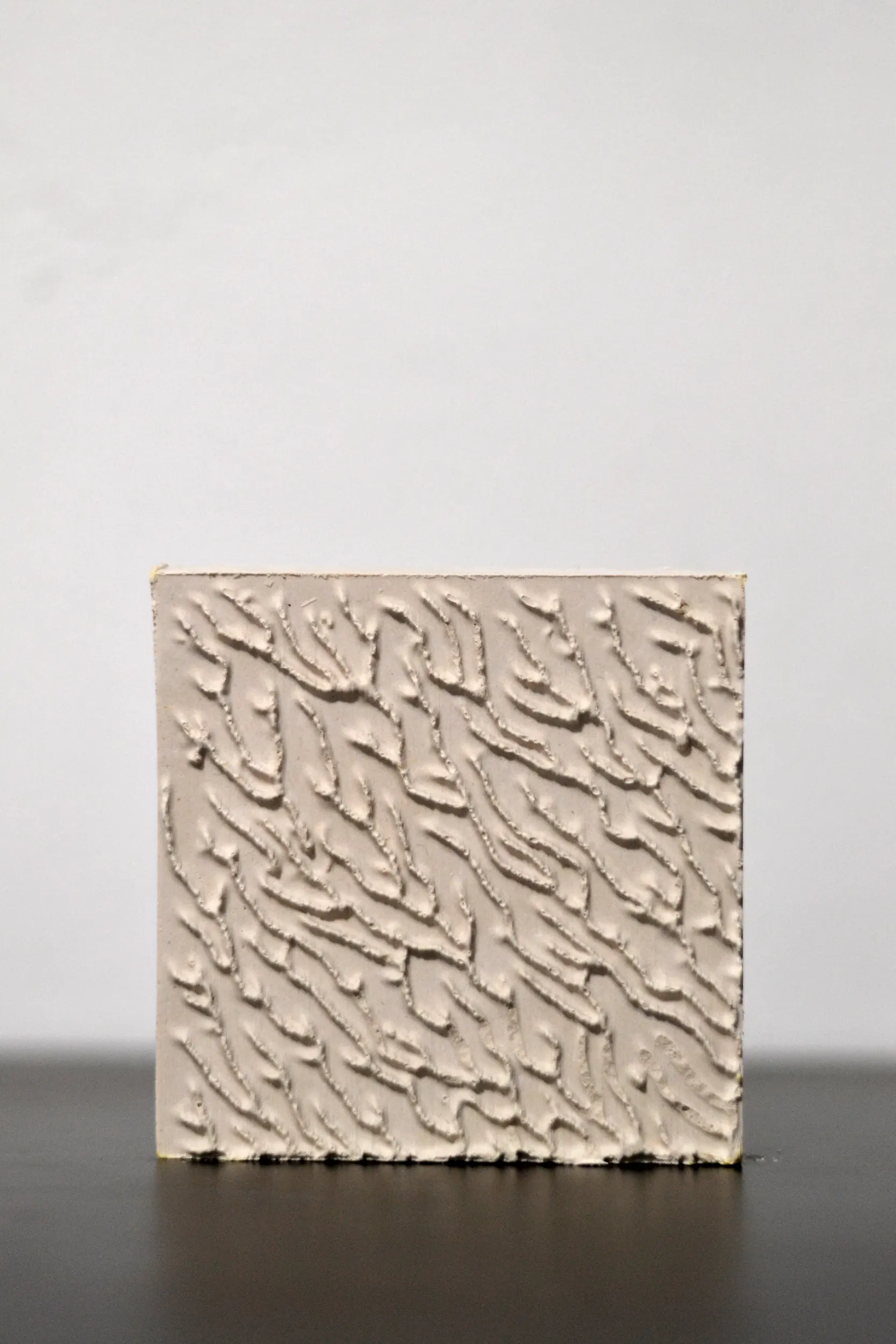 Computational design research of Physarum polycephalum growth patterns. Parametric design algorithm, plaster model